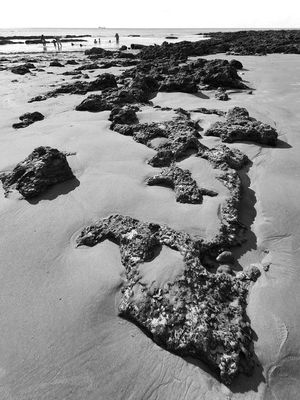 PEDRAS PRAIA FORTALEZA PB