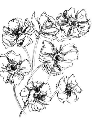 SKETCHED BLOOMS PRETO E BRANCO - ELEGANTE FLORAIS MINIMALISTA FLORES SKETCH ILUSTRAÇÃO