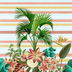 FESTA TROPICAL