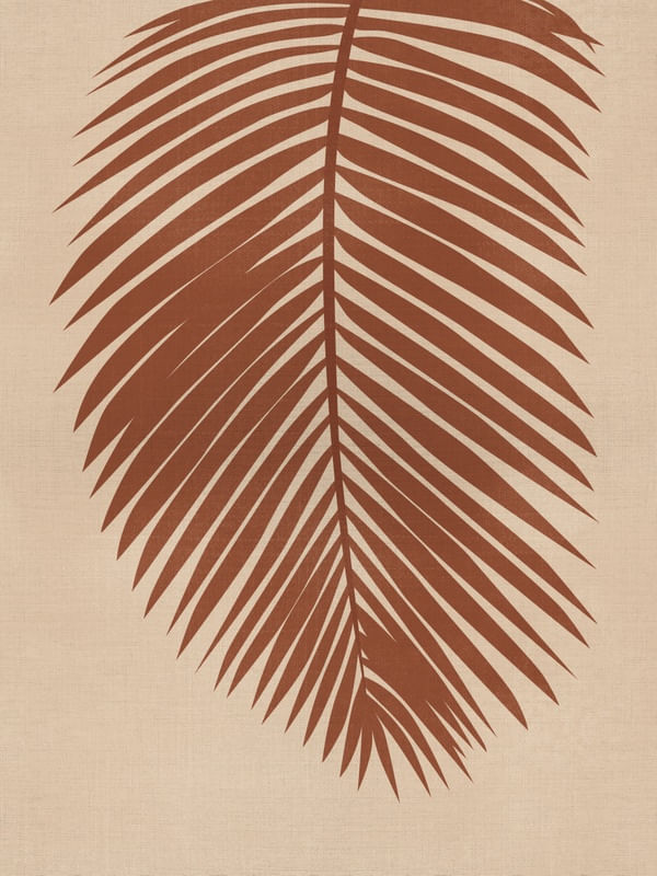 FOLHA DE PALMEIRA MEDITERRÂNEA
