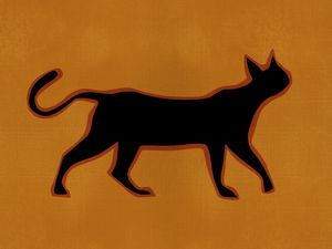 IL GATTO