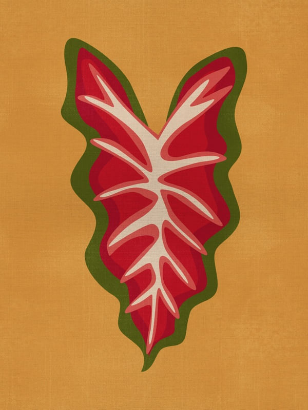FOLHA CALADIUM