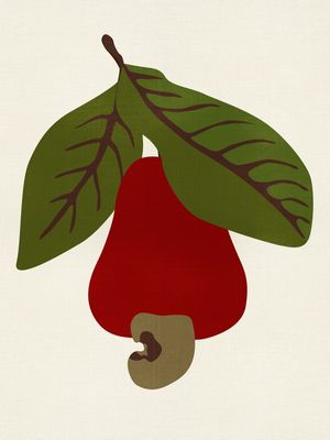 FRUIT CAJU