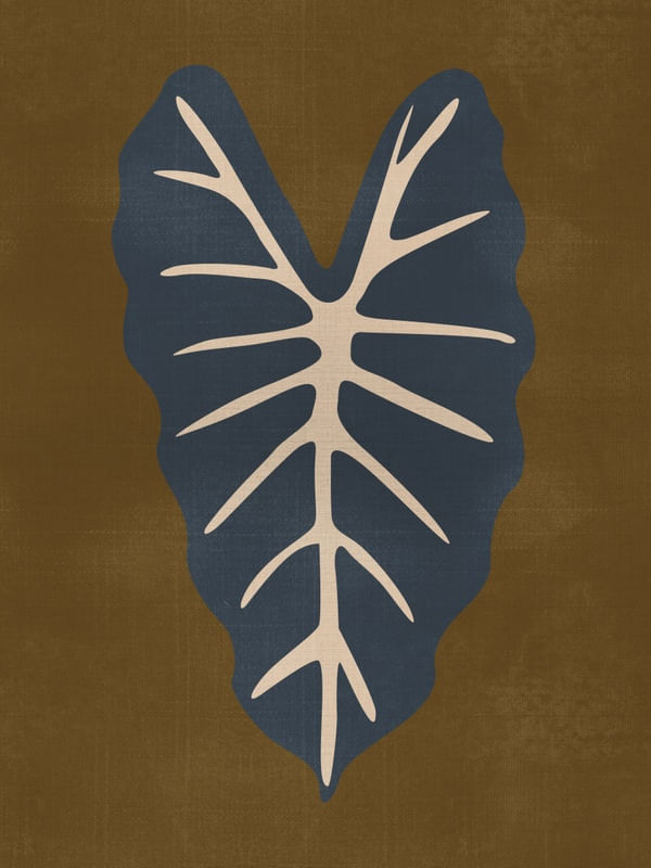 FOLHA ALOCASIA