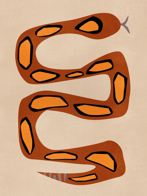 COBRA FOLK