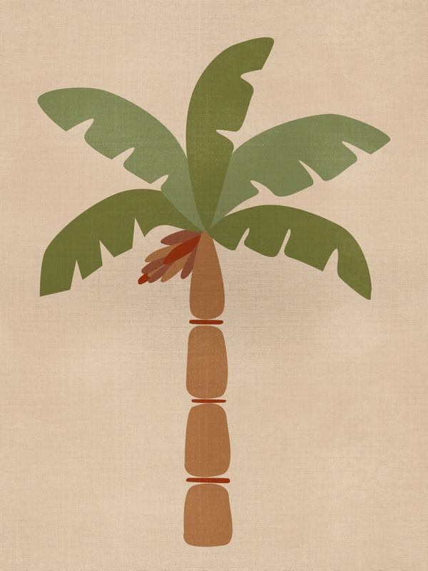BANANA MEDITERRÂNEA