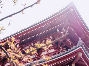 TEMPLO JAPÃO FH