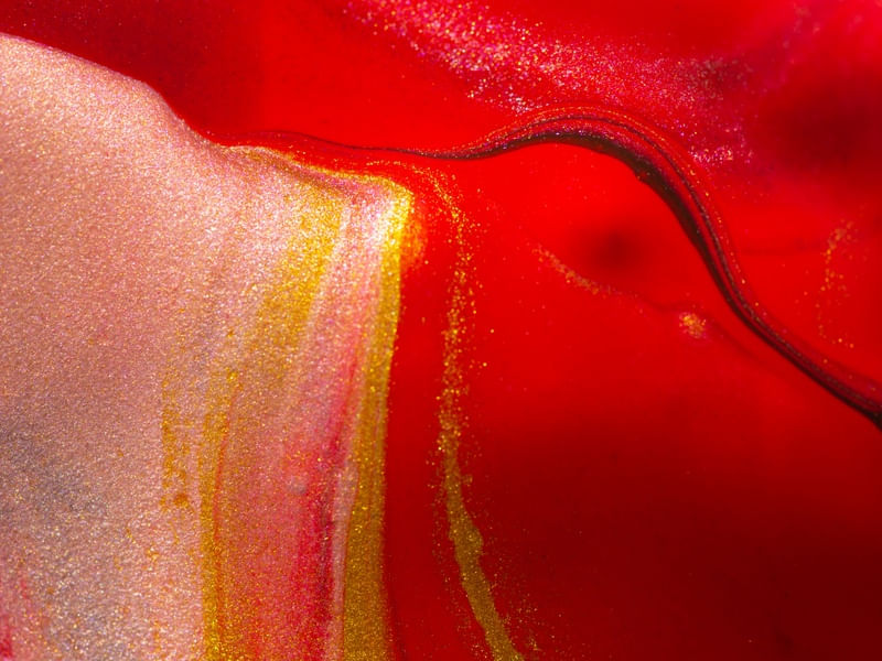 VERMELHO E DELICADO III