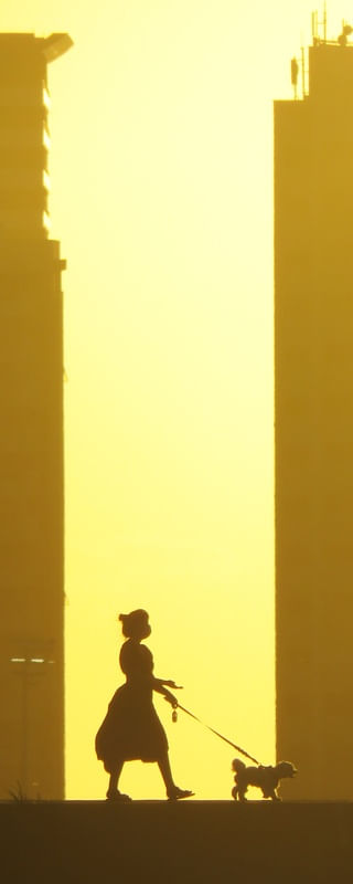 PASSEIO COM O CACHORRO NO ESPIGÃO