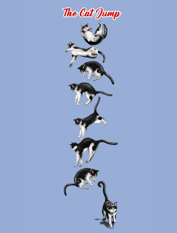 O PULO DO GATO