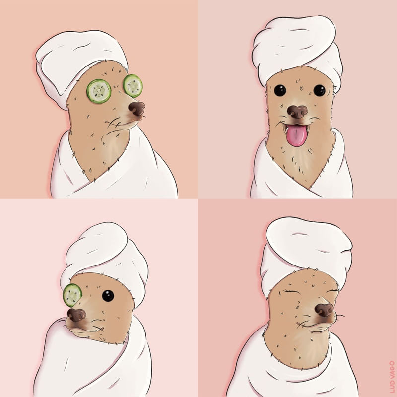 DOG SKINCARE