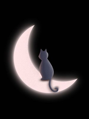 GATO E A LUA