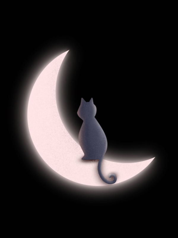 GATO E A LUA
