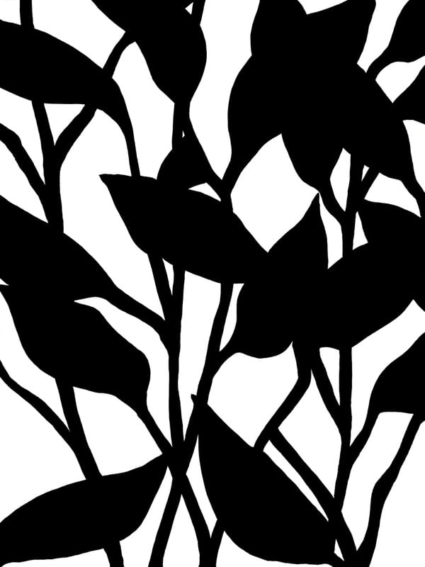 JUNGLE GARDEN 1 PRETO E BRANCO - MINIMALISTA SELVA BOTANICO ORGANICO SKETCH ILUST
