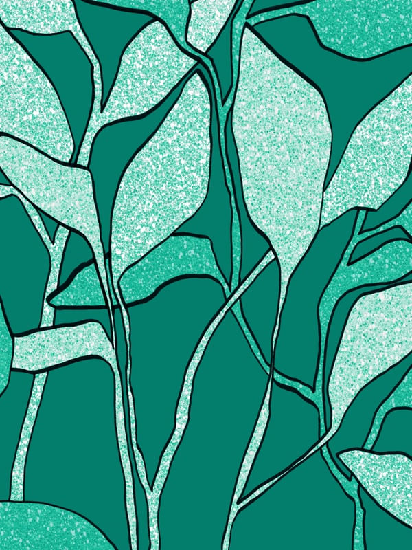JUNGLE GARDEN 2 VERDE NO VERDE - COLORIDO SELVA BOTANICO ORGANICO SKETCH