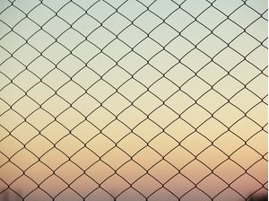 TELA AO FIM DE TARDE