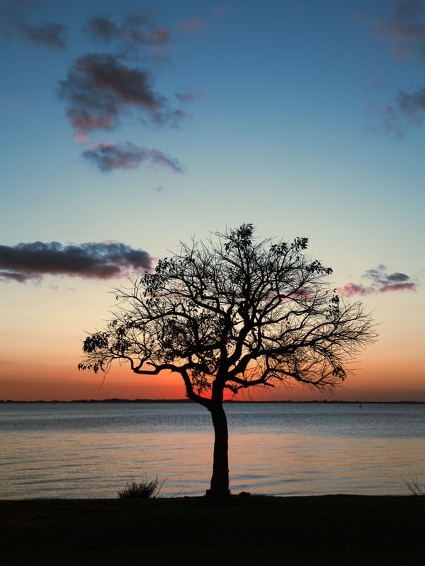 SILHUETA AO FIM DE TARDE