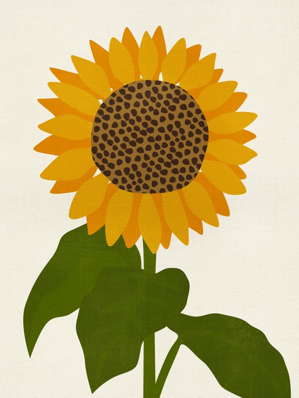 GIRASSOL YELLOW
