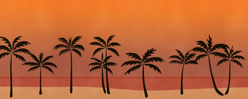 PÔR DO SOL NO MAR E OS COQUEIROS