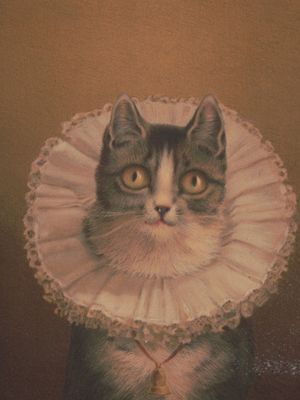 GATO VINTAGE 2