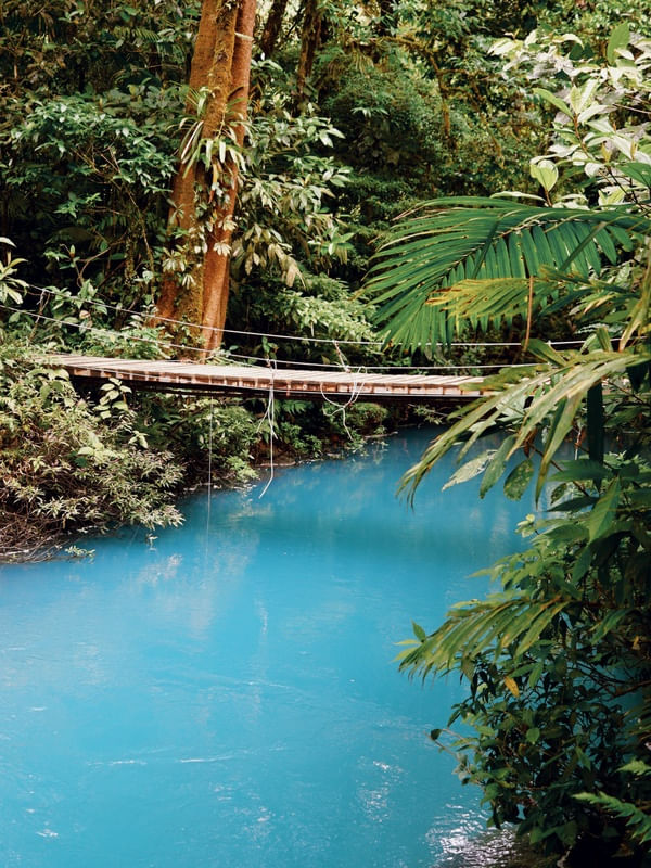 PONTE NO RIO CELESTE