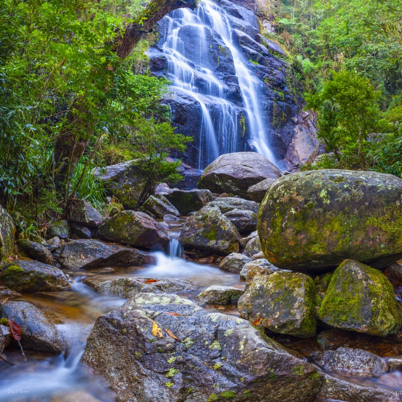 ÁGUAS DA FLORESTA - ITATIAIA