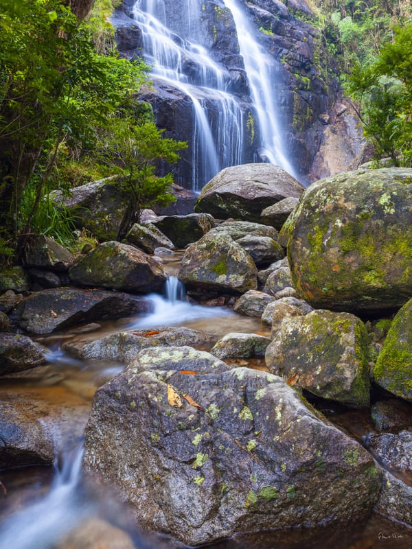 ÁGUAS DA FLORESTA V - ITATIAIA