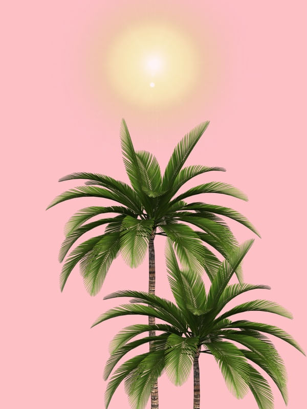 VERÃO EM LOS ANGELS