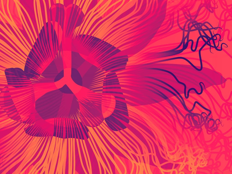 PASSIFLORA III