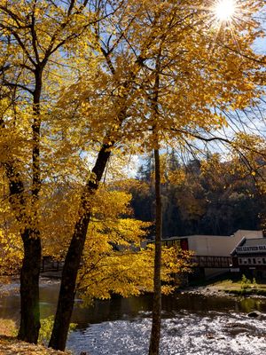 ÁRVORE NO OUTONO AS MARGENS DO RIO OCONALUFTEE EM CHEROKEE NC USA