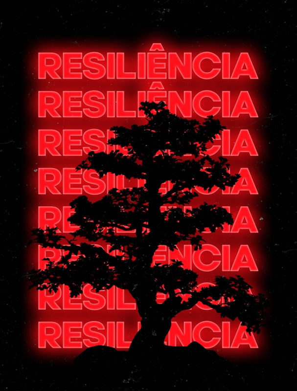 SEJE RESILIENTE