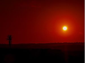 POR DO SOL COM COQUEIRO