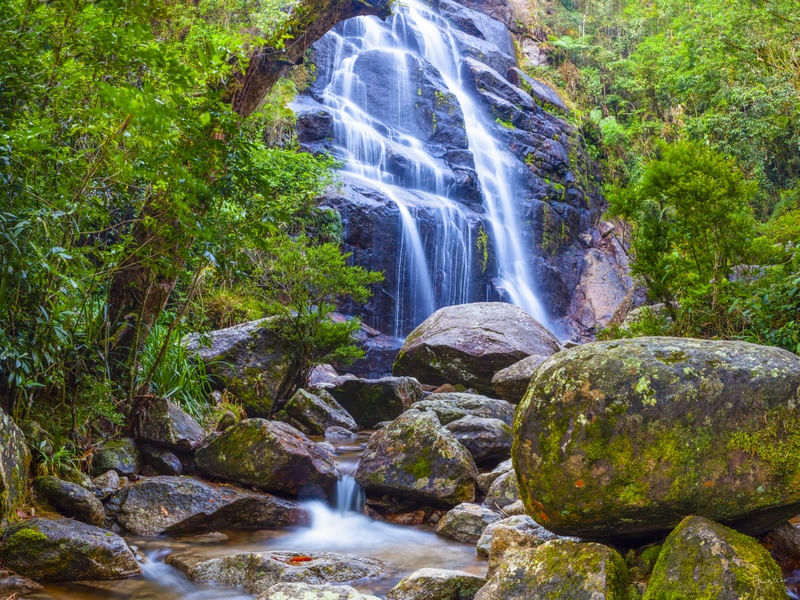 AGUAS DA FLORESTA VII - ITATIAIA