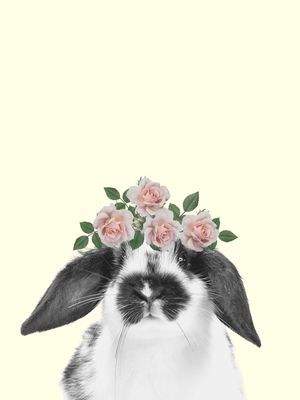 COELHO COM FLORES
