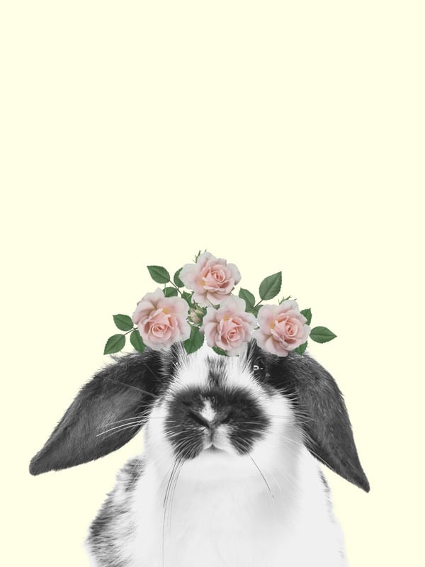 COELHO COM FLORES