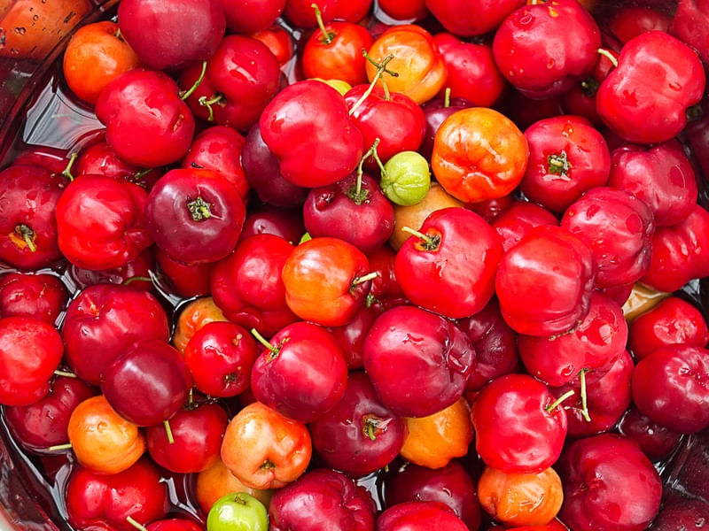 ACEROLA EM ÁGUA
