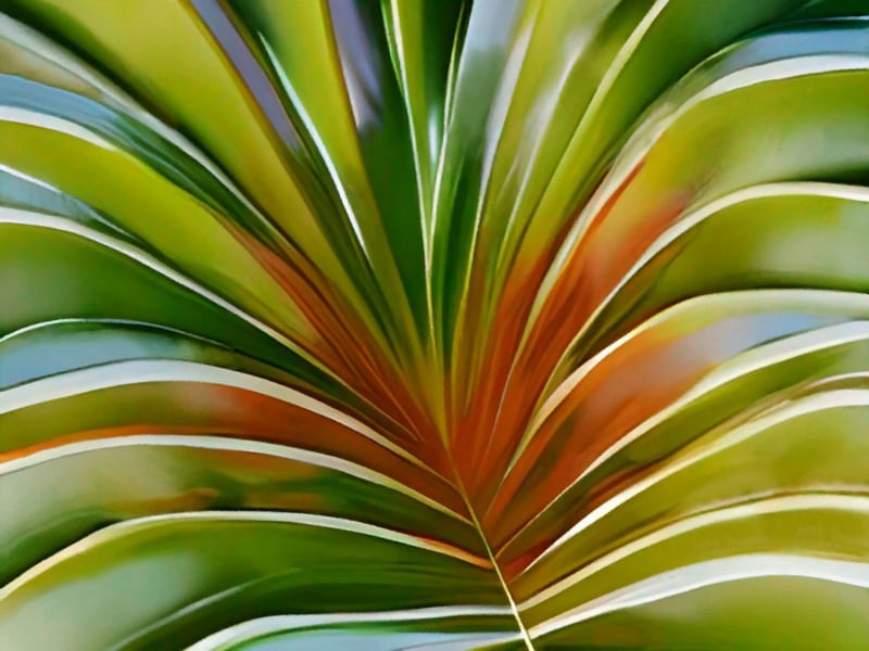 TROPICAL LEAVES I