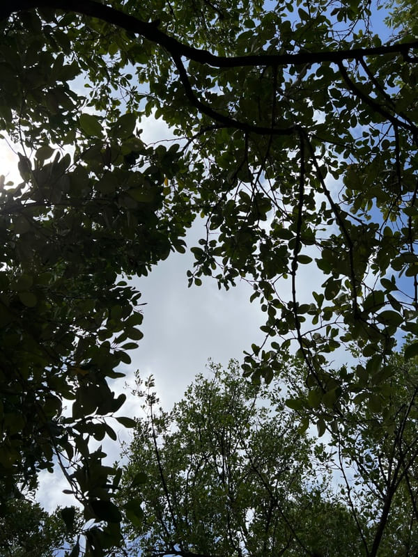 PORQUE O CÉU É TÃO LINDO