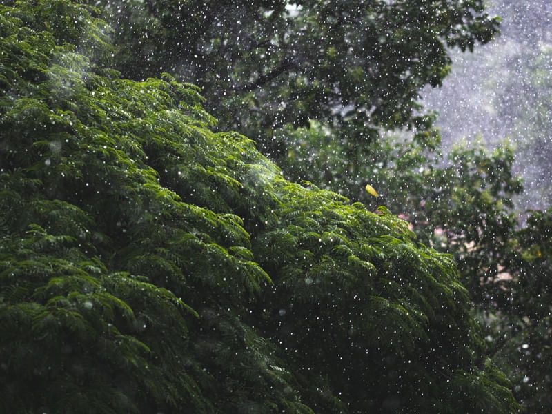 CHOVE CHUVA SEM PARAR
