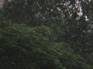 CHOVE CHUVA SEM PARAR II