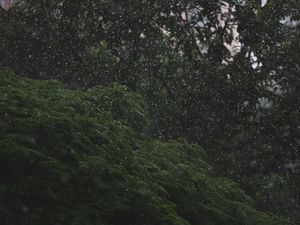 CHOVE CHUVA SEM PARAR III