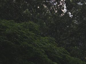 CHOVE CHUVA SEM PARAR IV
