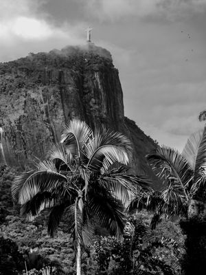 CRISTO PELO JARDIM BOTÂNICO