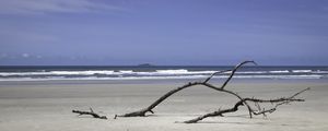 ILHA COMPRIDA