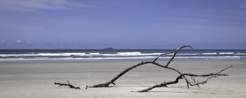 ILHA COMPRIDA