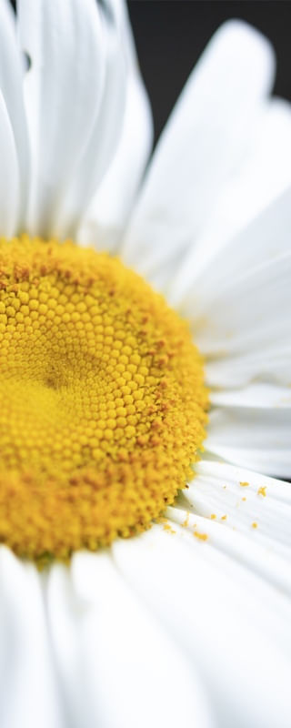 NATUREZA CURA 4