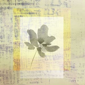 FLOWER NEWSPAPER