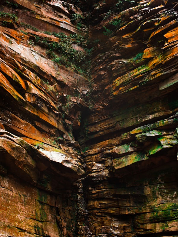 VEIOS DA CACHOEIRA
