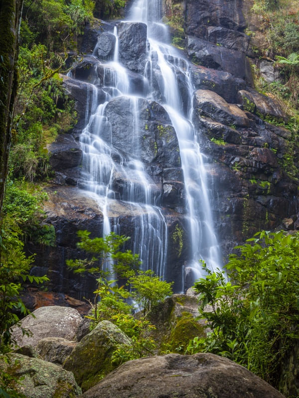 AGUAS DA FLORESTA XI - ITATIAIA