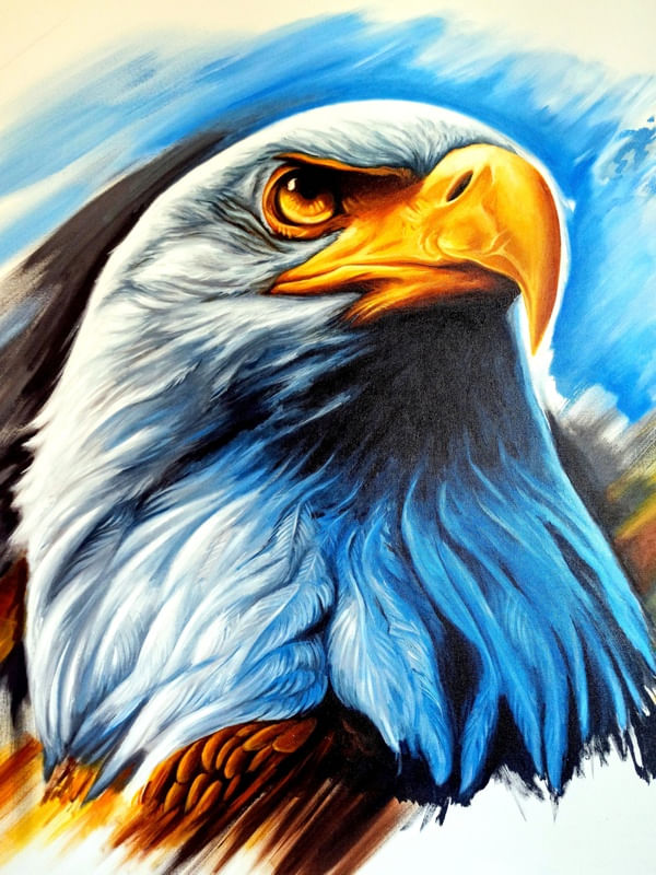 THE EAGLE SPIRIT